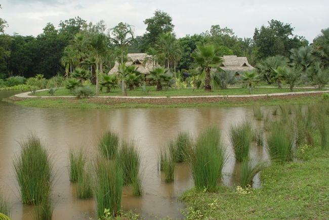 Tropical Flavor of South Asia (by Duan Qiwu)