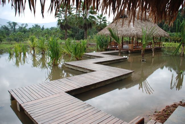 Winding interconnecting pathways over water (by Yang Chengyuan)