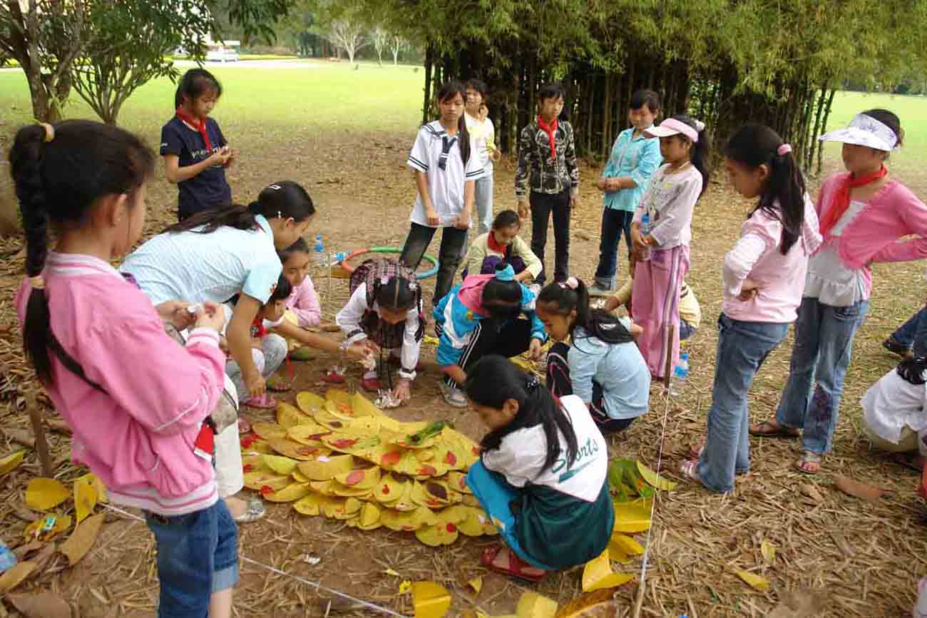 Explore the mysteries of rainforest at XTBG