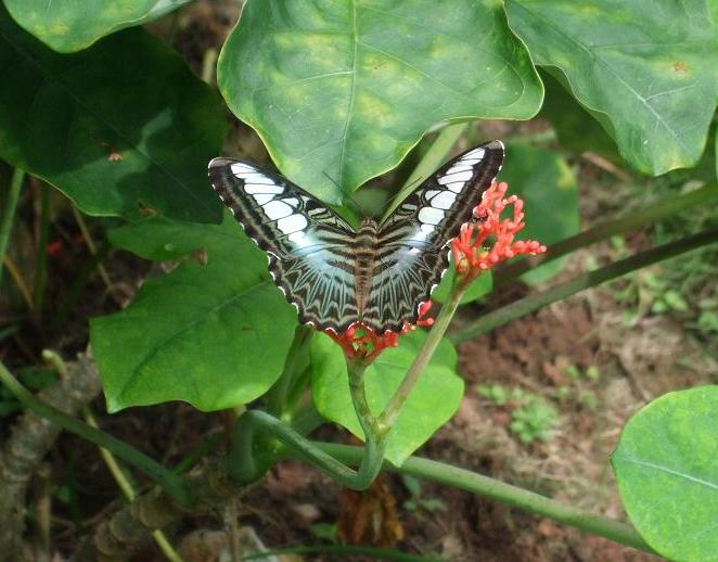 photo by a participant