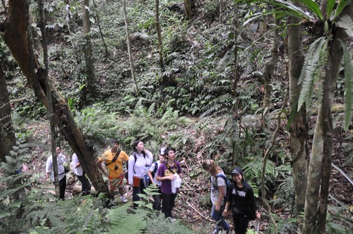 Macao students hold summer camp in XTBG