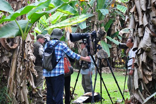Second bird watching festival a full success