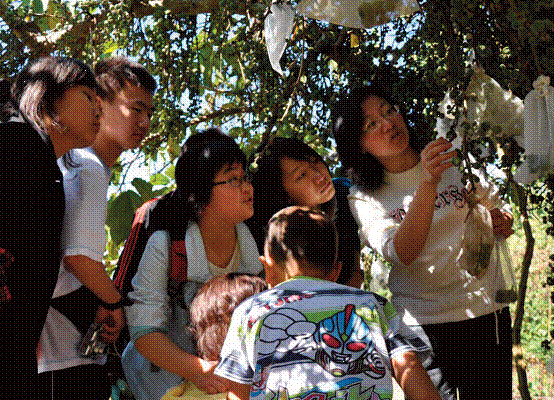 Binocular vision: puts new audiences in the frame