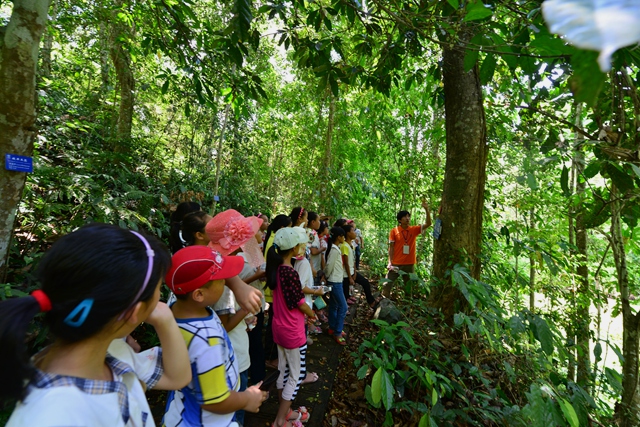 National Science and Technology Week 2014 celebrated in XTBG