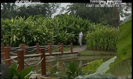 Nature and Science: China's tropical rainforest garden