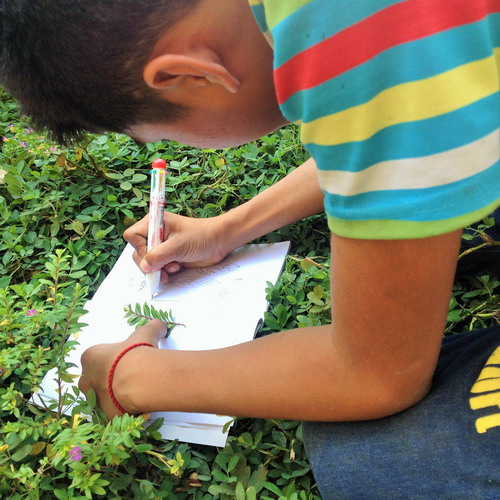 Inspiring Nature Journaling