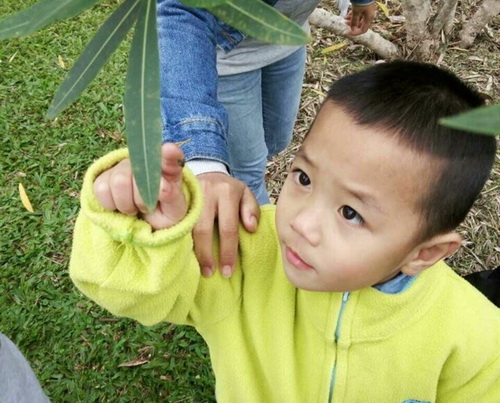 Fun nature activities for kids to find animals with plants as habitats
