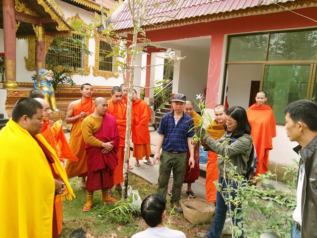 Use temples to conserve orchid species