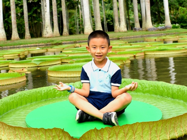 Come and enjoy beauty of lotus and waterlilies at XTBG