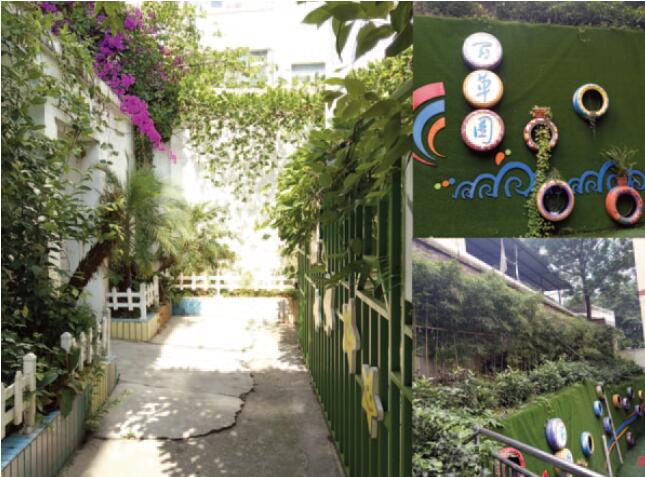 Good school green spaces are important to connect children with nature