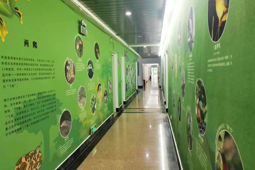 XTBG holds exhibition on animal diversity