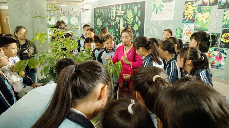 Amazing Tropical Rainforest on show at Chengdu Botanical Garden