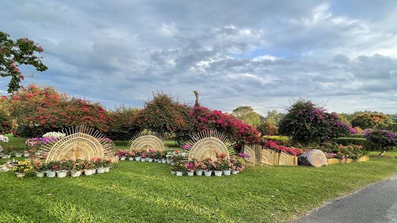 Leaf Flower Show held to greet 65th anniversary of XTBG