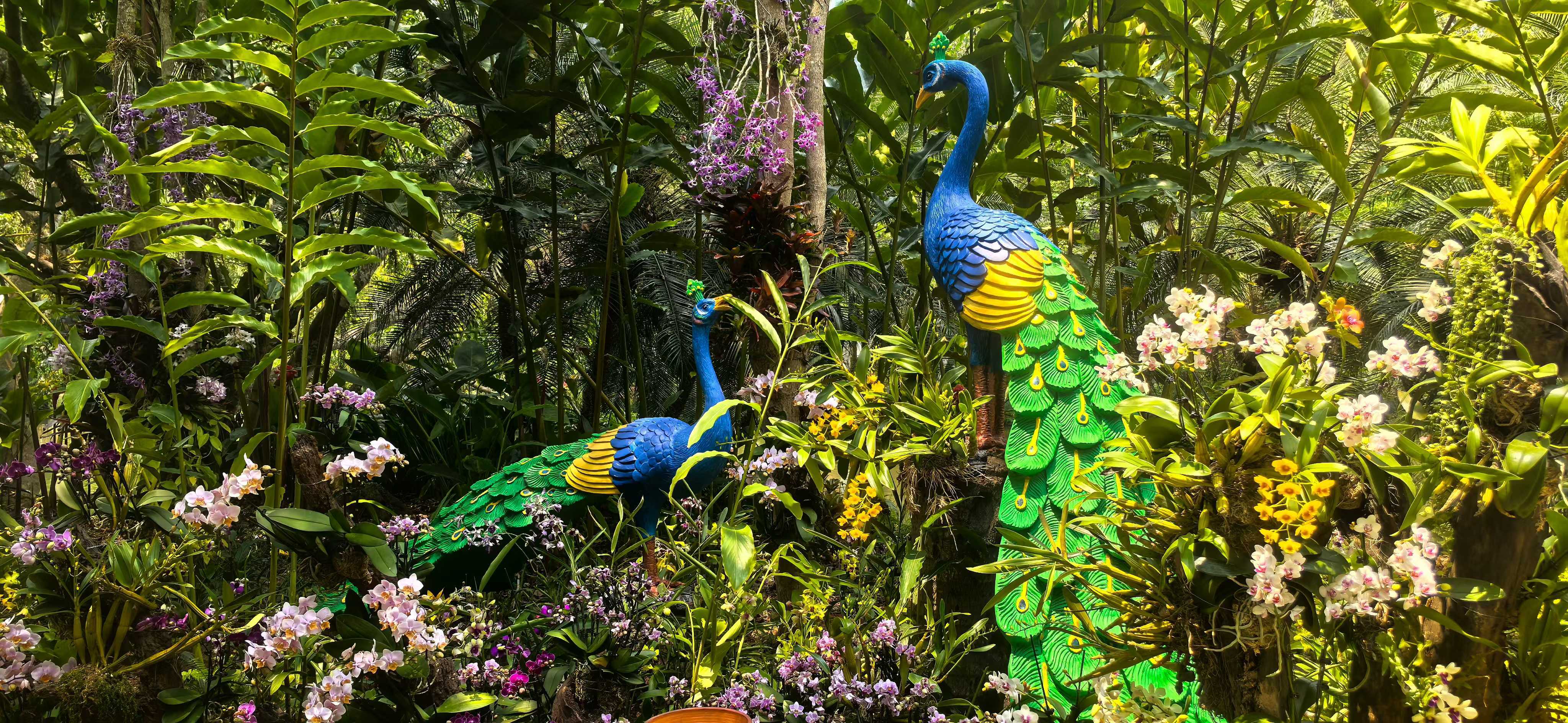 XTBG launches 12th “Orchids in Nature” exhibition to promote ecological conservation and cultural heritage