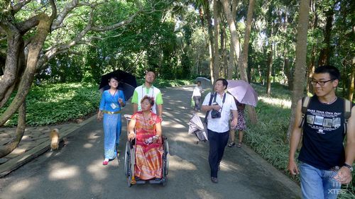 A 100-day trip in wheelchair helps mother realize dream to Xishuangbanna
