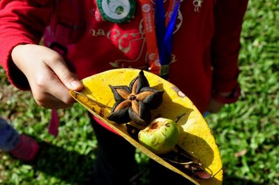 Plan of nature school network drafted