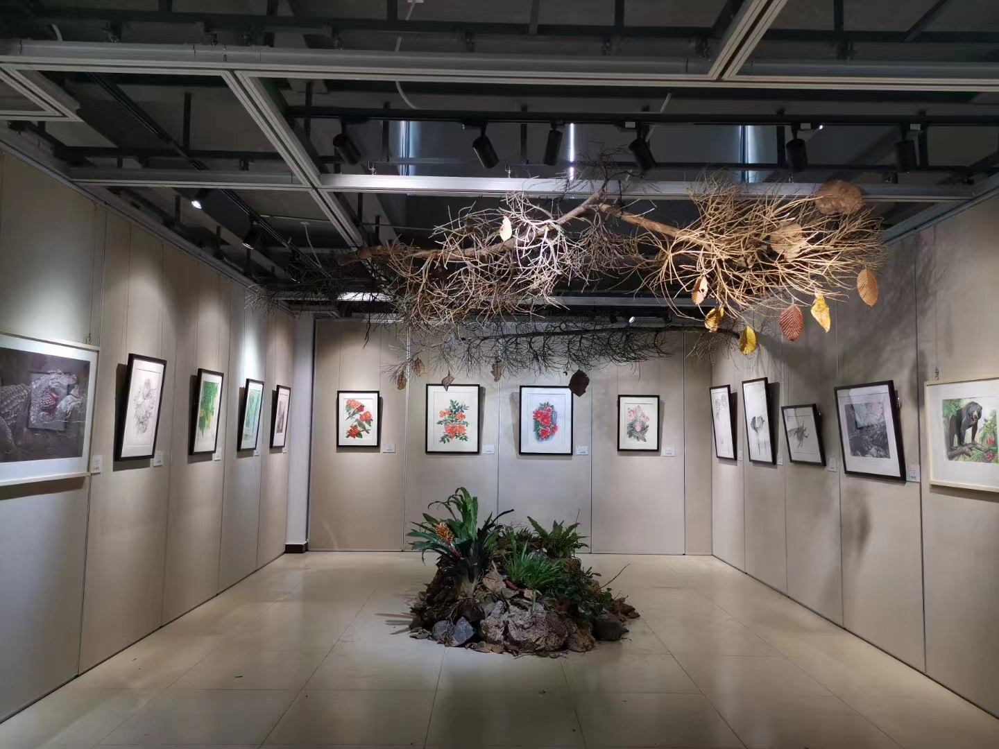 1st XTBG exhibition of natural history painting opened