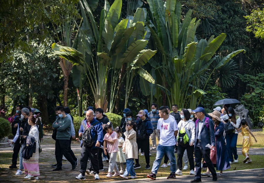 Flowers of biodiversity blossoming at botanical garden