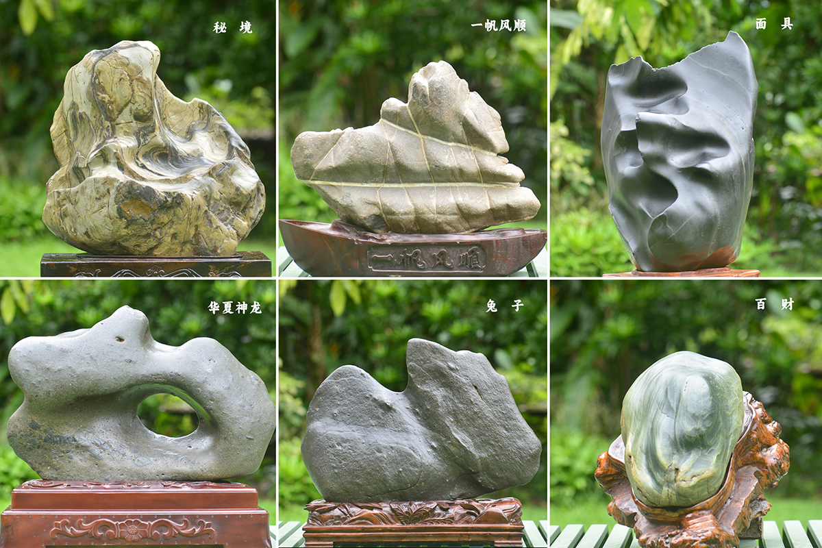 Peculiar stones of Xishuangbanna on display in XTBG