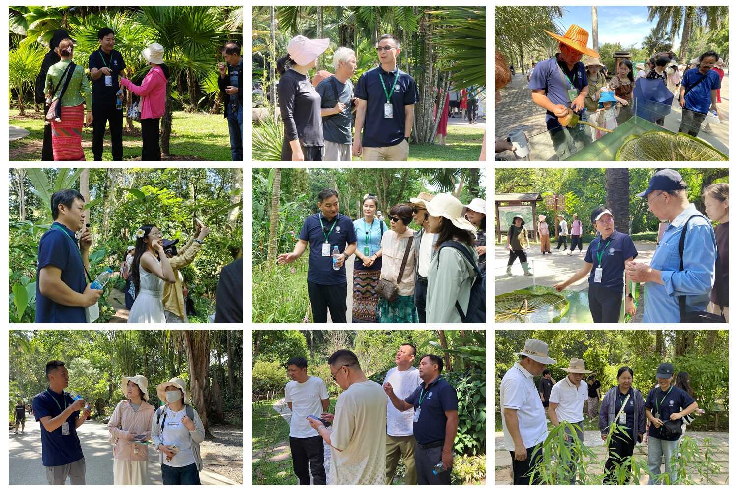 XTBG holds expert-led tours to celebrate International Biodiversity Day