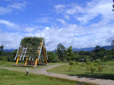 National Trees and Flowers Collection