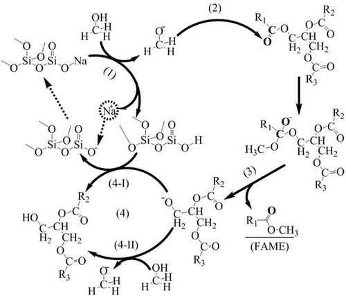 transesterification mechanism