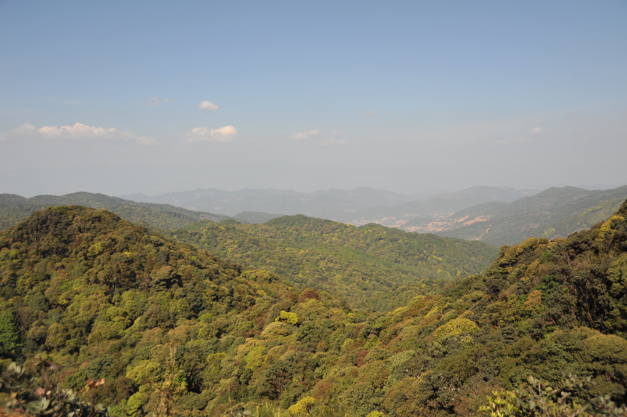 Multidimensional valuation verifies transitional areas as biodiversity hotspots