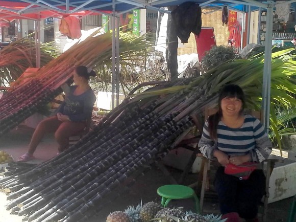 PHOTO: Women at market with giat 9-foot stalks of harvested sugar cane.