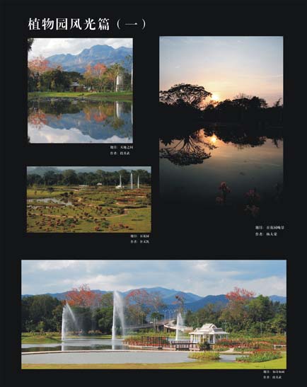 Photo Exhibition “Green Homeland” at XTBG showing