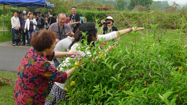 Water Splashing Festival celebrated at XTBG