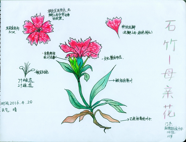 Nature journaling works on display