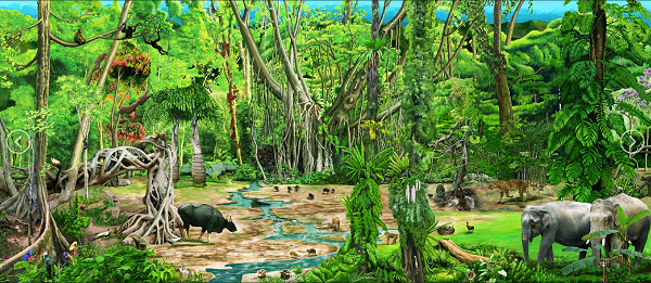 The Amazing Rainforest shows beauty of forests from Xisuangbanna to Southeast Asia