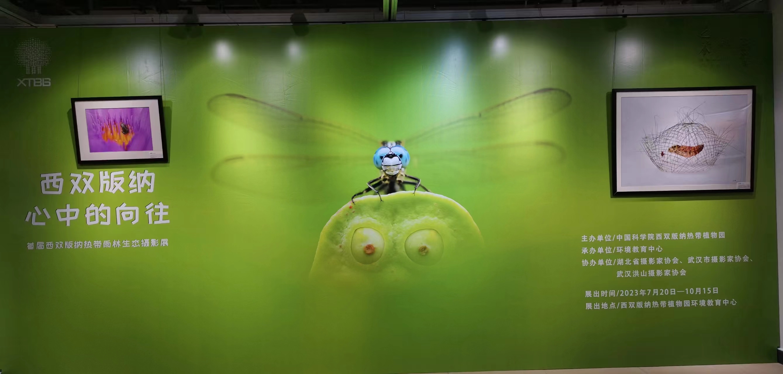 Tropical rainforest ecological photography exhibition held
