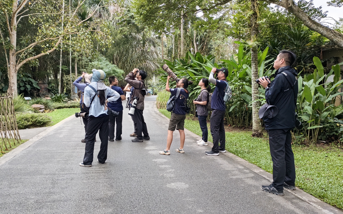 3 new bird records--11th XTBG Birding Festival