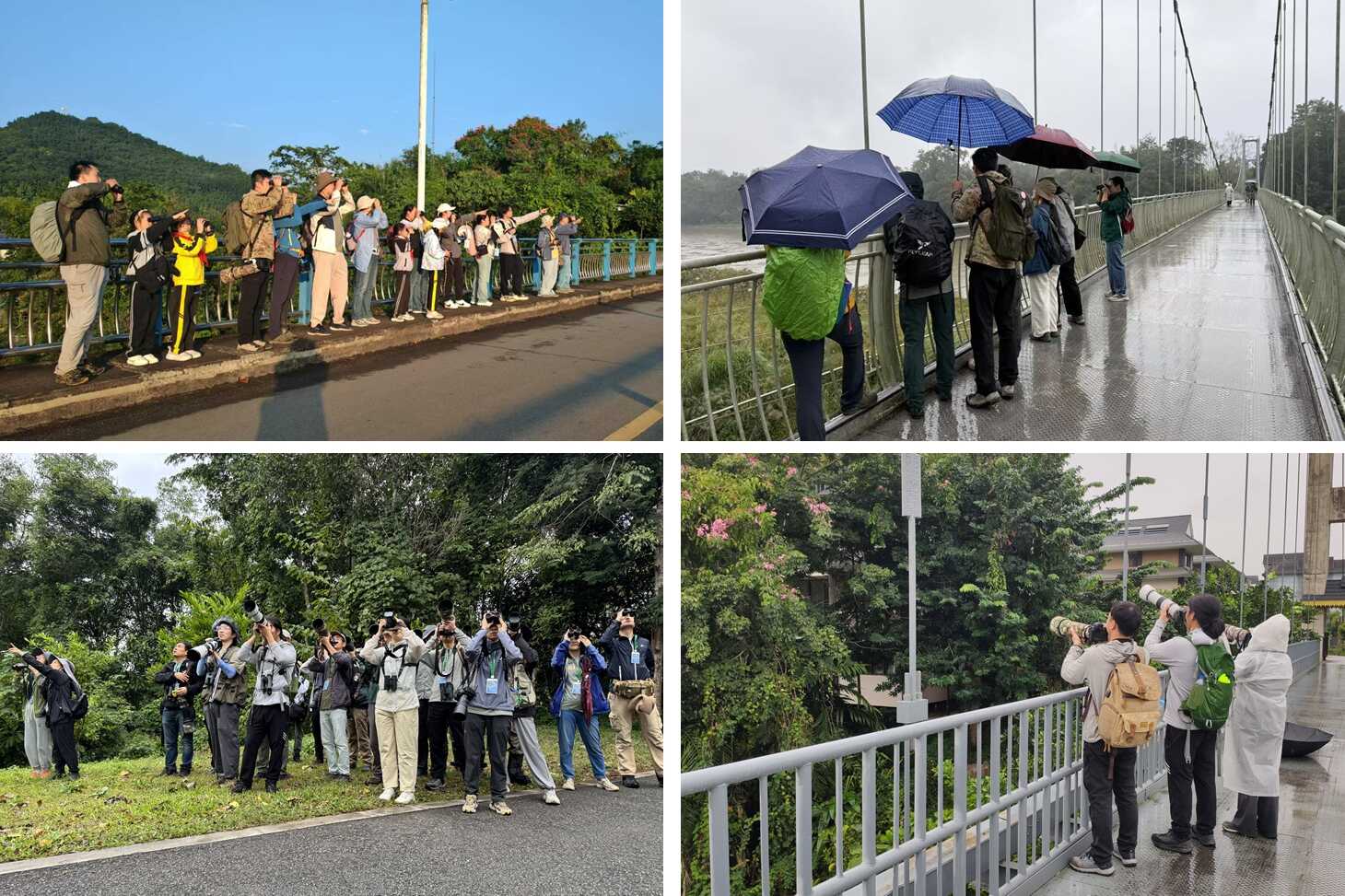 2&nbsp;new bird records--12th XTBG Birding Festival
