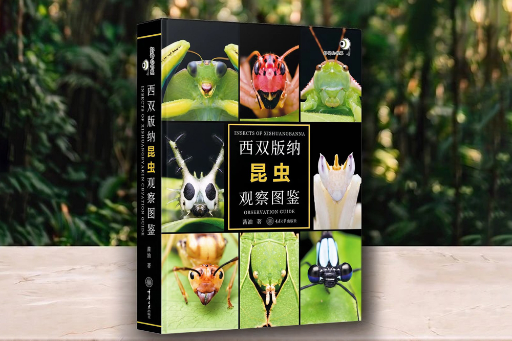 New field guide documents over 1000 insect species in Xishuangbanna
