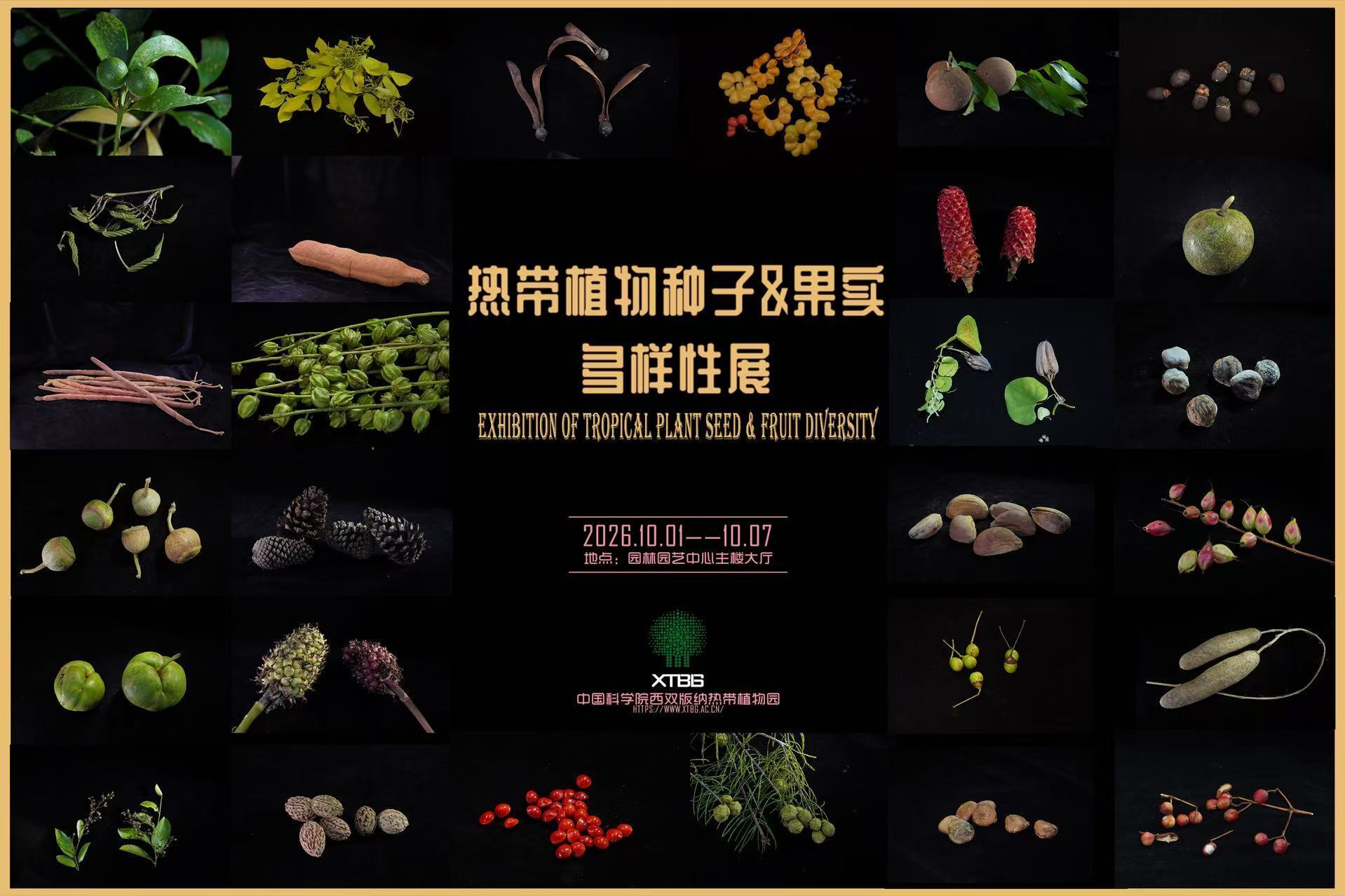 Exhibition of tropical plant seed and fruit diversity held