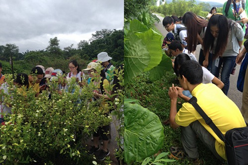 XTBG Summer Camp 2014 for Outstanding College Students completed
