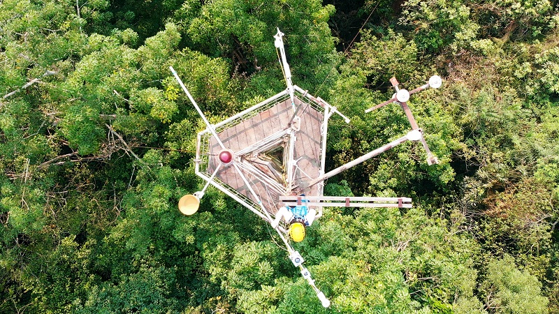 Silent Wisdom: A scientist determined to redefine ecology