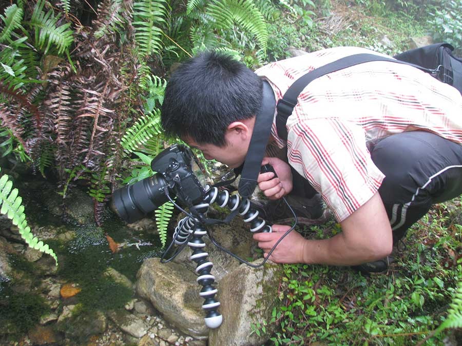 A moss interested man