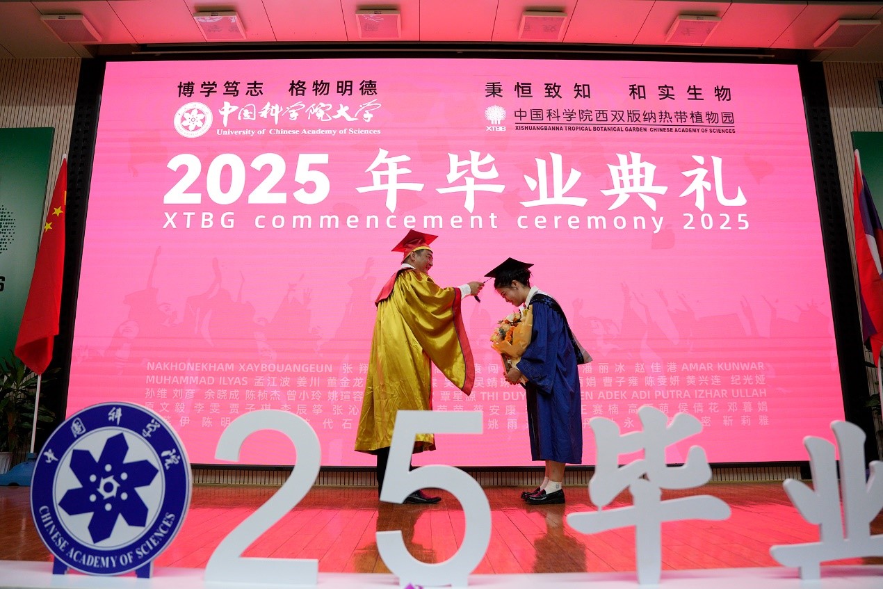 Graduation Celebration 2025