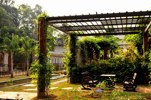 Vine Garden