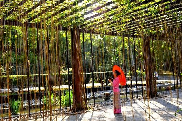 Minority girls enjoy nature in living collections