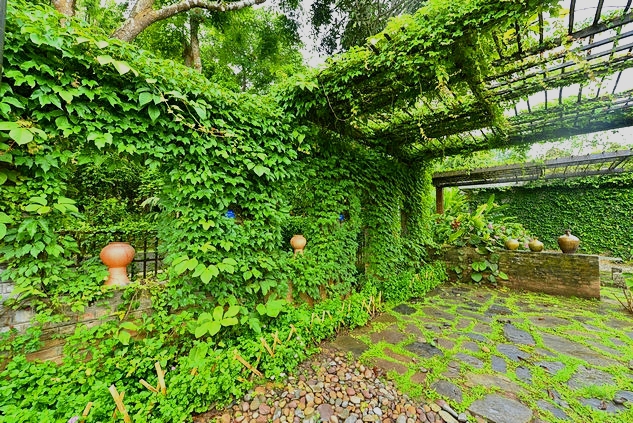 Xishuangbanna Tropical Botanical Garden in early summer