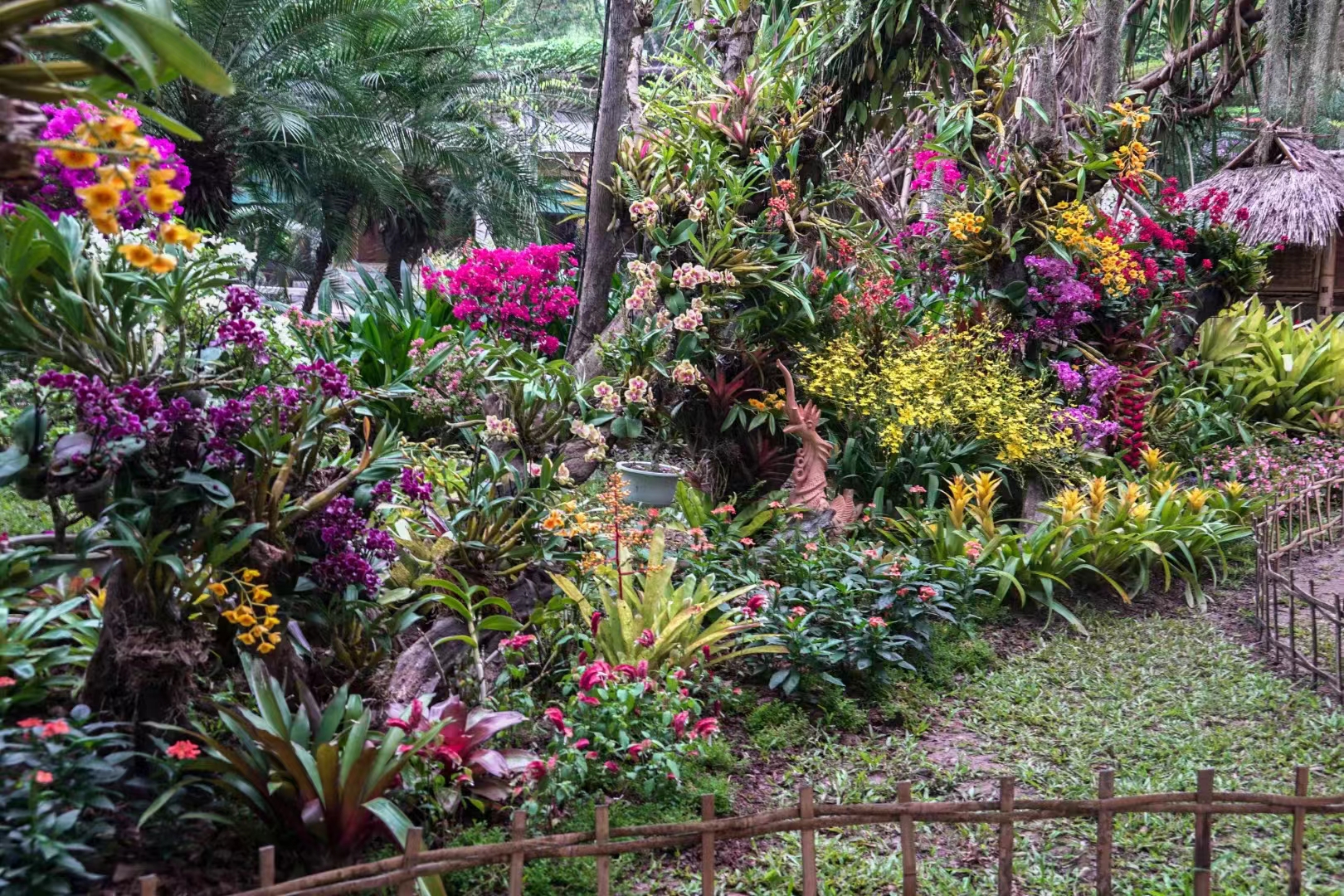 The Orchid Show 2022 at XTBG