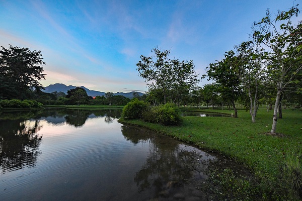 Landscape of XTBG