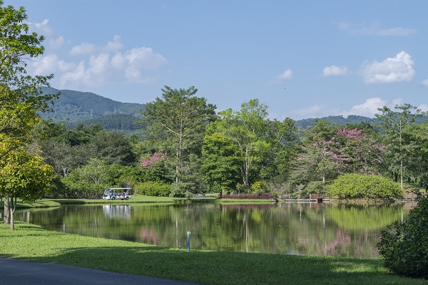 Landscape of XTBG