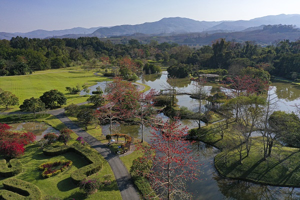 XTBG in early Spring