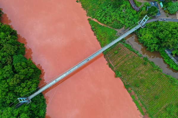 XTBG Suspension Bridge after rain in July