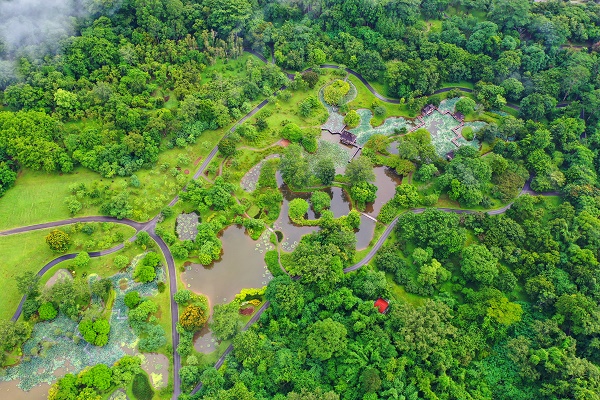 XTBG scenery after rain in July